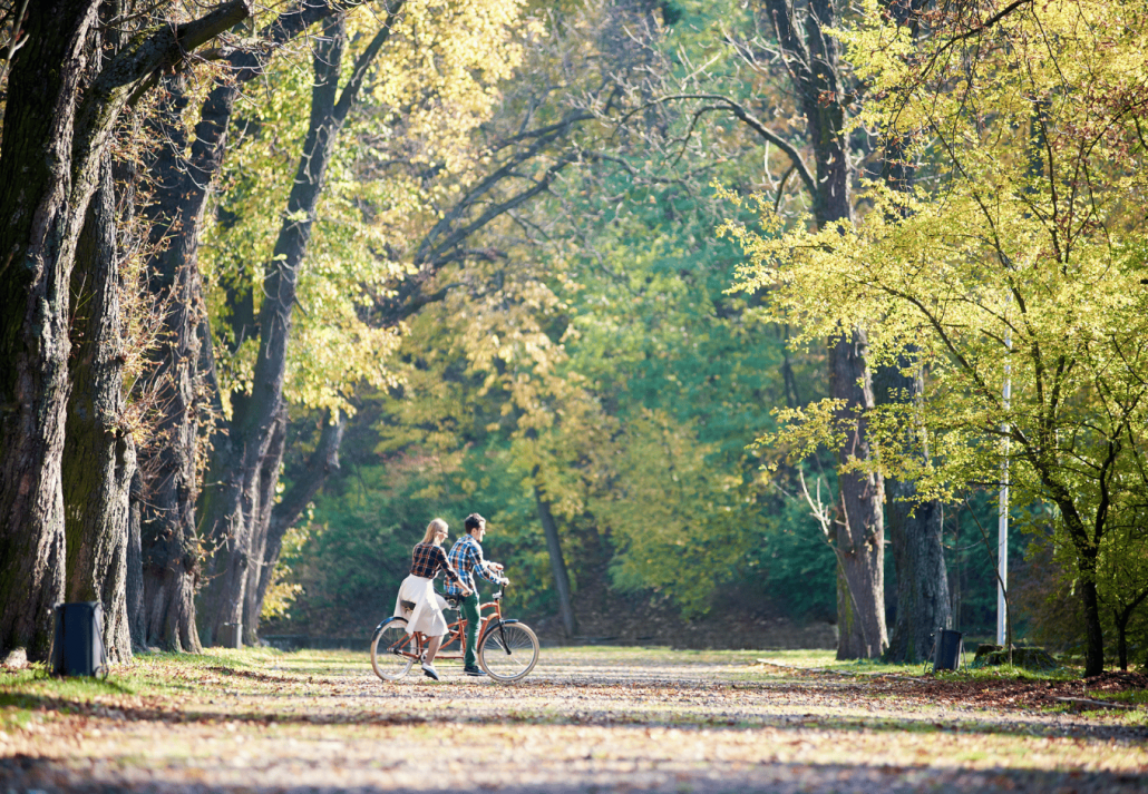 
Young couple, handsome man and attractive woman on tandem bike in sunny summer park or forest.