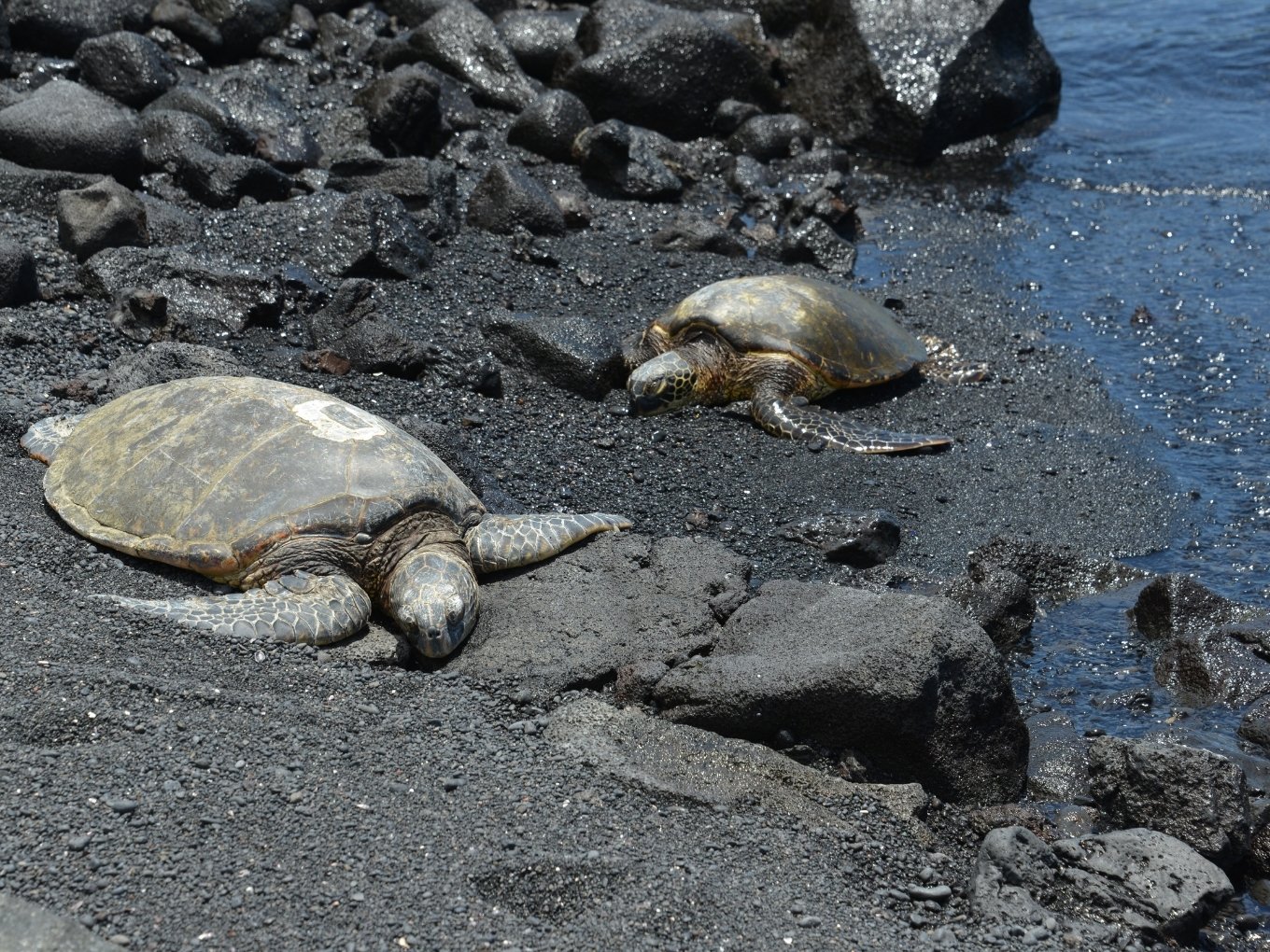 Kau | South | The Island of Hawaii