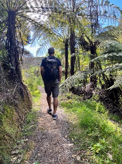 backpacking through rainforest