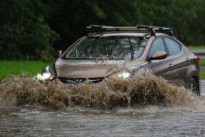 Founded in 2005, Seal Skin Covers has grown from a small New York start-up into one of America’s most trusted names in protective covers.