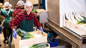 US startup Anchr has secured $5.8 million in seed funding to develop what it describes as the first end-to-end AI-native operating system for food distributors, targeting one of the most operationally complex yet technologically underserved sectors of the global supply chain.