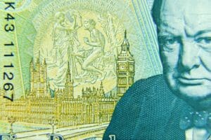 Sir Winston Churchill and other historic figures currently featured on British banknotes are set to be replaced by wildlife under plans announced by the Bank of England following a nationwide public consultation.