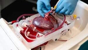 BGF has reported a strong year of investment and exit activity in 2025, underpinned by landmark portfolio realisations, robust trading performance and continued backing for founders across the UK and Ireland.