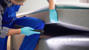 If you are a frequent traveller or live in a shared accommodation, bed bugs are likely to be a problem that you will face. The first step to conquering it, is knowing what it is.