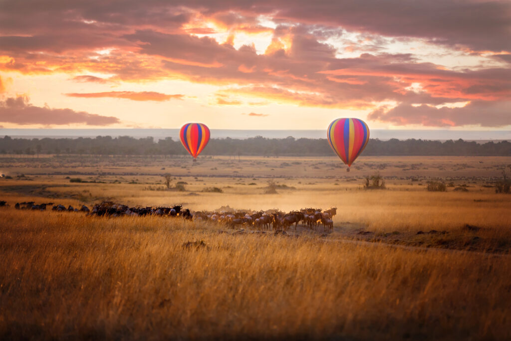 Sunrise with wildebeest and balloons 