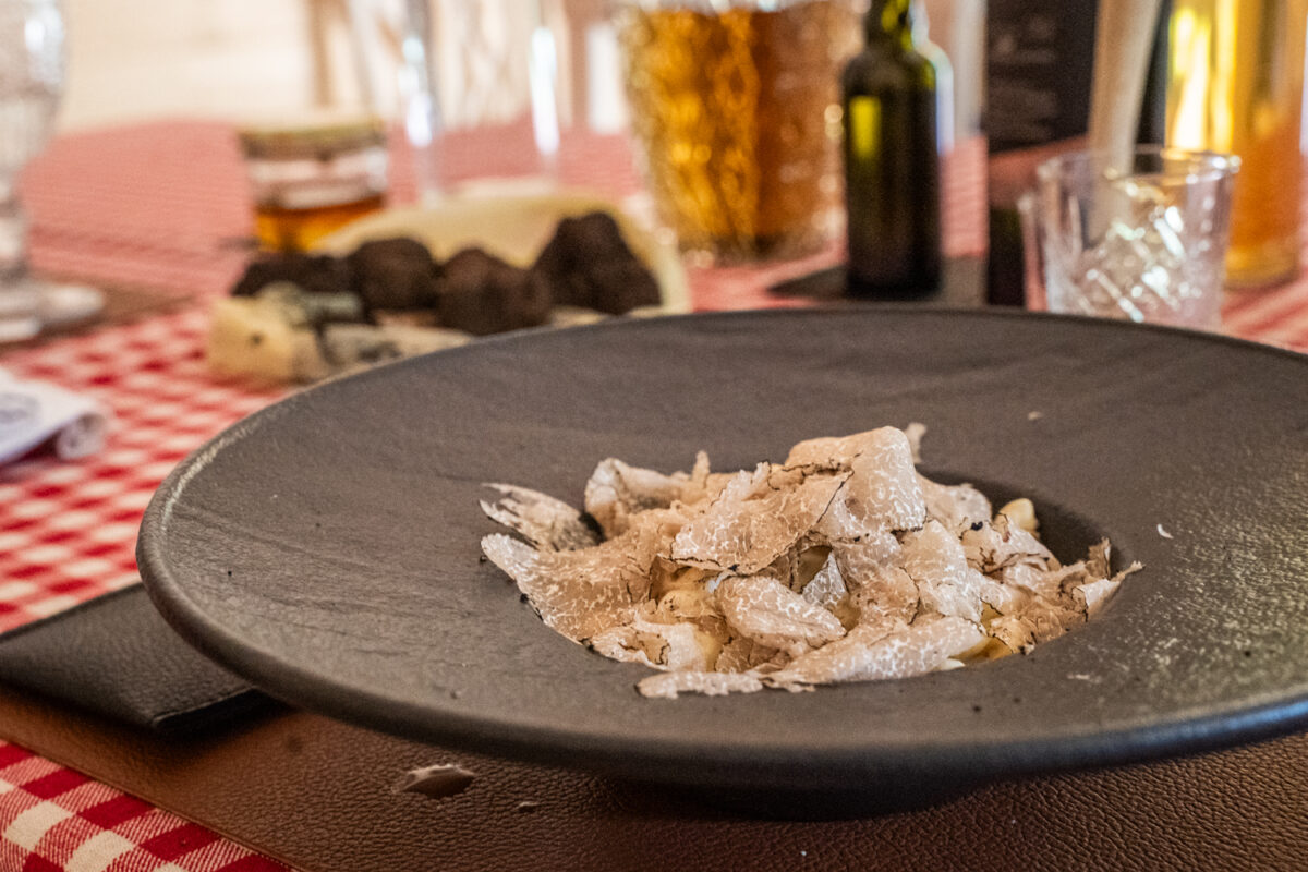 Truffle hunting Split Croatia